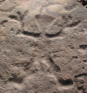 Human figure petroglyph